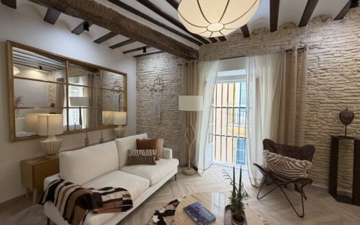 ESPECTACULAR PISO DE DISEÑO CON ENCANTO  EN EL CORAZÓN DE CÁDIZ